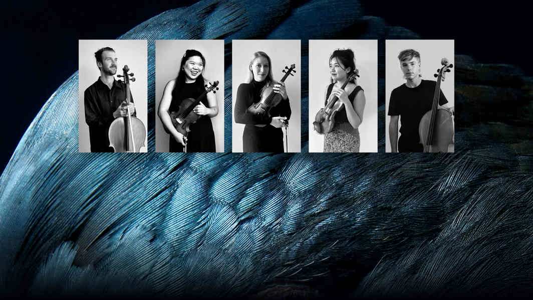 Partridge String Quartet & James Morley