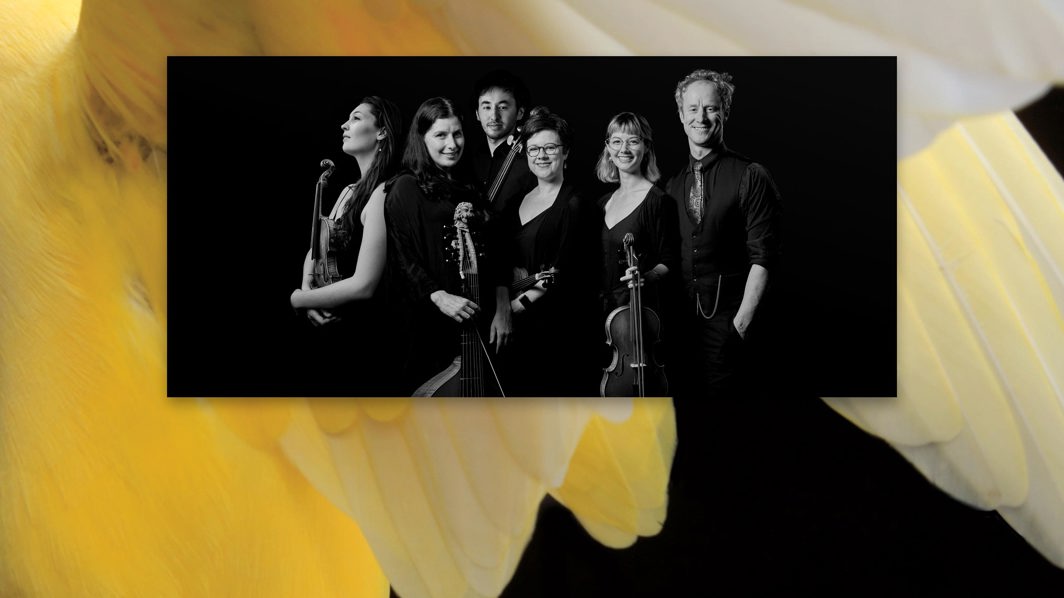Van Diemen's Band
